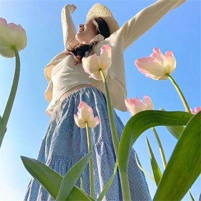 卧虎藏龙2